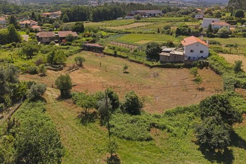 Helårsgrund i Ponte de Lima, Viana do Castelo, Ponte de Lima - € 220.000 | Ref: TC193 - foto 13
