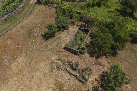Helårsgrund i Ponte de Lima, Viana do Castelo, Ponte de Lima - € 220.000 | Ref: TC193 - foto 15