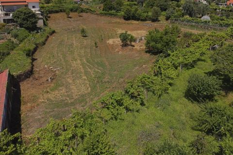 Helårsgrund i Ponte de Lima, Viana do Castelo, Ponte de Lima - € 220.000 | Ref: TC193 - foto 16