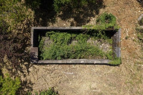 Helårsgrund i Ponte de Lima, Viana do Castelo, Ponte de Lima - € 220.000 | Ref: TC193 - foto 18