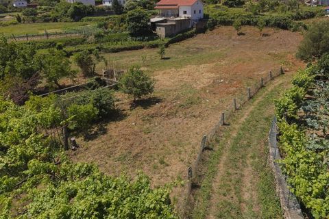 Helårsgrund i Ponte de Lima, Viana do Castelo, Ponte de Lima - € 220.000 | Ref: TC193 - foto 19