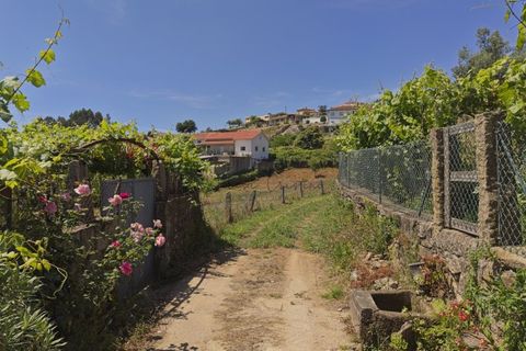 Helårsgrund i Ponte de Lima, Viana do Castelo, Ponte de Lima - € 220.000 | Ref: TC193 - foto 20