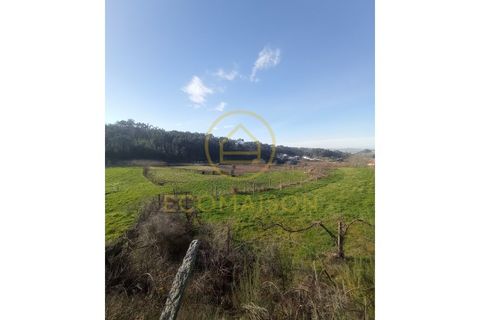 Tomt i Croca, Porto, Croca - € 80 000 | Ref: T_100 - foto 1