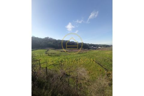Tomt i Croca, Porto, Croca - € 80 000 | Ref: T_100 - foto 2