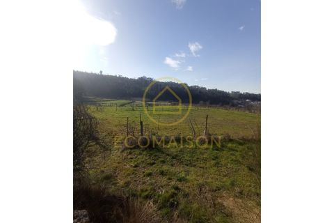Tomt i Croca, Porto, Croca - € 80 000 | Ref: T_100 - foto 8