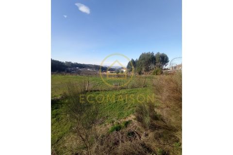 Tomt i Croca, Porto, Croca - € 80 000 | Ref: T_100 - foto 9