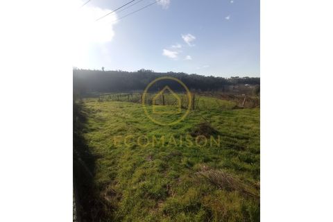 Tomt i Croca, Porto, Croca - € 80 000 | Ref: T_100 - foto 10