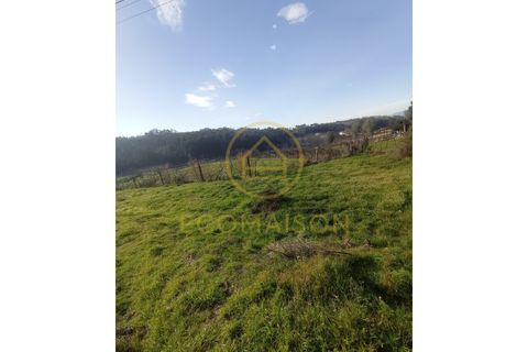 Tomt i Croca, Porto, Croca - € 80 000 | Ref: T_100 - foto 11