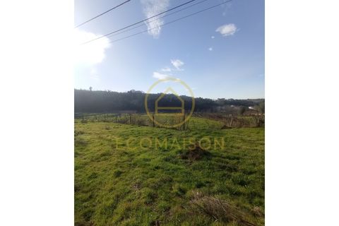 Tomt i Croca, Porto, Croca - € 80 000 | Ref: T_100 - foto 13