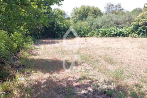 Helårsgrund i Vouzela, Viseu, Vouzela - € 30.000 | Ref: 353/T/02531 - foto 3
