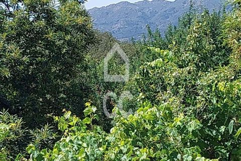 Helårsgrund i Vouzela, Viseu, Vouzela - € 30.000 | Ref: 353/T/02531 - foto 4