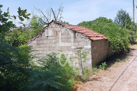Helårsgrund i Vouzela, Viseu, Vouzela - € 30.000 | Ref: 353/T/02531 - foto 7