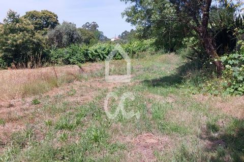 Helårsgrund i Vouzela, Viseu, Vouzela - € 30.000 | Ref: 353/T/02531 - foto 8