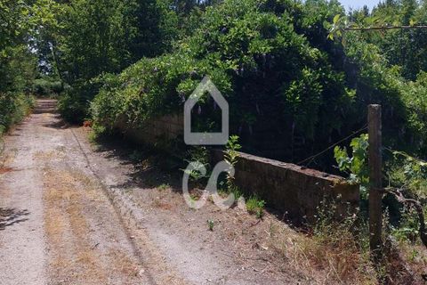 Helårsgrund i Vouzela, Viseu, Vouzela - € 30.000 | Ref: 353/T/02531 - foto 9