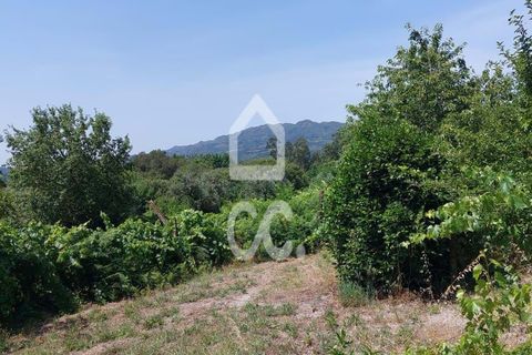 Helårsgrund i Vouzela, Viseu, Vouzela - € 30.000 | Ref: 353/T/02531 - foto 12
