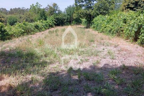 Helårsgrund i Vouzela, Viseu, Vouzela - € 30.000 | Ref: 353/T/02531 - foto 13