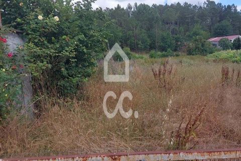 Terra a Ranhados, Viseu, Ranhados - € 80.000 | Ref: 353/T/02536 - foto 2