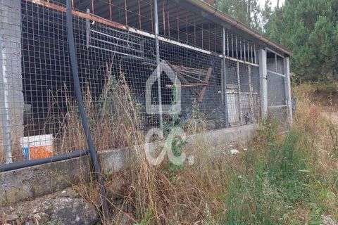 Terra a Ranhados, Viseu, Ranhados - € 80.000 | Ref: 353/T/02536 - foto 5