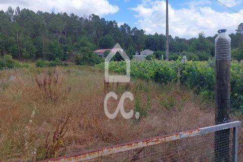 Terra a Ranhados, Viseu, Ranhados - € 80.000 | Ref: 353/T/02536 - foto 6