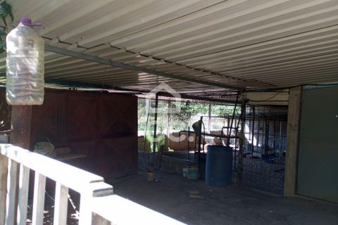 Terra a Ranhados, Viseu, Ranhados - € 80.000 | Ref: 353/T/02536 - foto 7