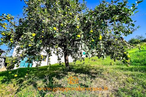 Villa i Acqui Terme, Alessandria, Acqui Terme - € 269.000 | Ref: 87144924 - foto 5
