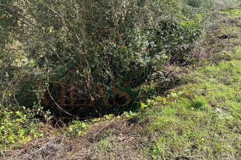 Helårsgrund i Paredes, Porto, Paredes - € 79.000 | Ref: 378 - foto 17