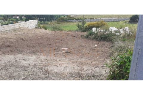 Helårsgrund i Paredes, Porto, Paredes - € 79.000 | Ref: 378 - foto 19