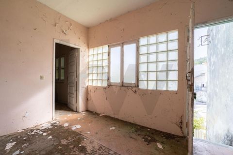 Farm i Maiorga, Leiria, Maiorga - € 110.000 | Ref: KWPT-033822 - foto 7