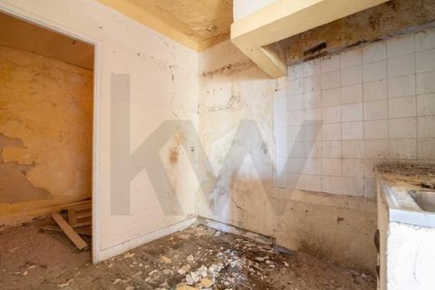 Farm i Maiorga, Leiria, Maiorga - € 110.000 | Ref: KWPT-033822 - foto 15