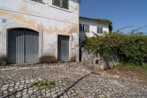 Farm i Maiorga, Leiria, Maiorga - € 110.000 | Ref: KWPT-033822 - foto 18
