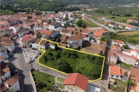 Farm i Maiorga, Leiria, Maiorga - € 110.000 | Ref: KWPT-033822 - foto 20