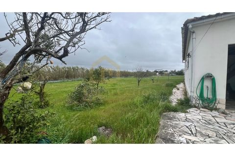 Farm i Moita, Setubal, Moita - € 700.000 | Ref: 2005 - foto 2