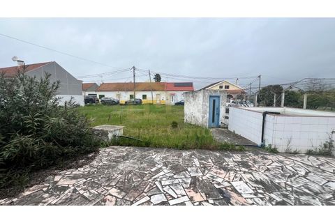 Farm i Moita, Setubal, Moita - € 700.000 | Ref: 2005 - foto 4