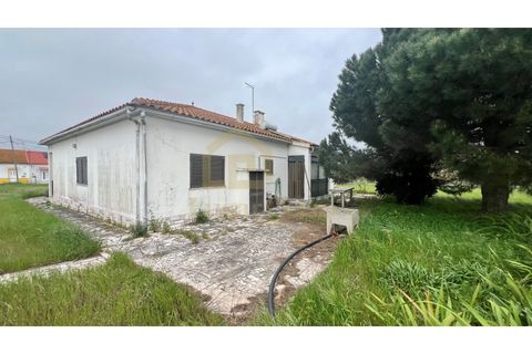 Farm i Moita, Setubal, Moita - € 700.000 | Ref: 2005 - foto 5