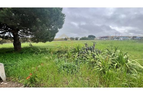 Farm i Moita, Setubal, Moita - € 700.000 | Ref: 2005 - foto 6