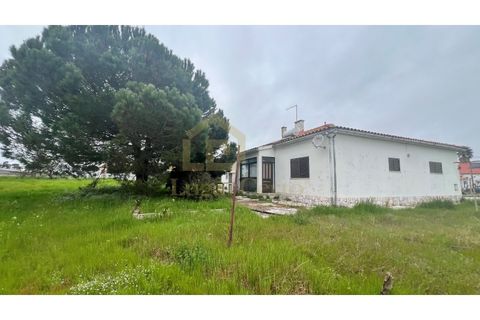 Farm i Moita, Setubal, Moita - € 700.000 | Ref: 2005 - foto 7