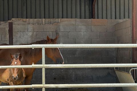 L'establiment comercial a Devecey, Doubs, Devecey - € 225.000 | Ref: 709-BES - foto 12