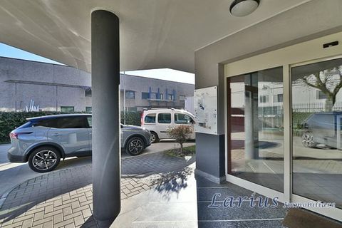 Erhvervsejendom i Mariano Comense, Como, Mariano Comense - € 1.150.000 | Ref: mariano capannone - foto 18