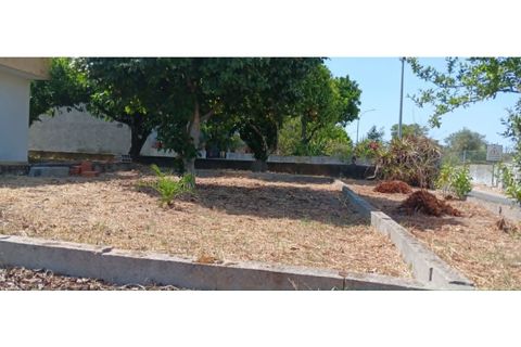 Villa i Macao, Santarem, Macao - € 245.000 | Ref: CAS_411 - foto 13