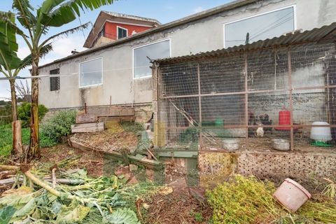 Lejlighed i Caniço, Madeira, Caniço - € 330.000 | Ref: RHG26030 - foto 29