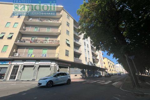 Apartament a Vercelli, Vercelli, Vercelli - € 500/mes | Ref: 8046 - foto 15
