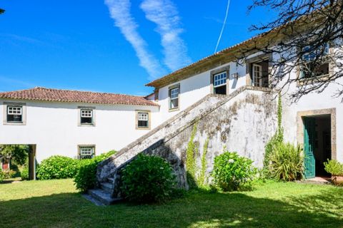 Farm i Ponte de Lima, Viana do Castelo, Ponte de Lima - € 1.700.000 | Ref: LS05705 - foto 3