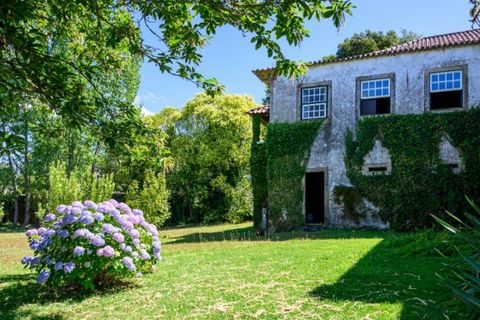 Farm i Ponte de Lima, Viana do Castelo, Ponte de Lima - € 1.700.000 | Ref: LS05705 - foto 8