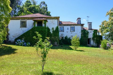 Farm i Ponte de Lima, Viana do Castelo, Ponte de Lima - € 1.700.000 | Ref: LS05705 - foto 9
