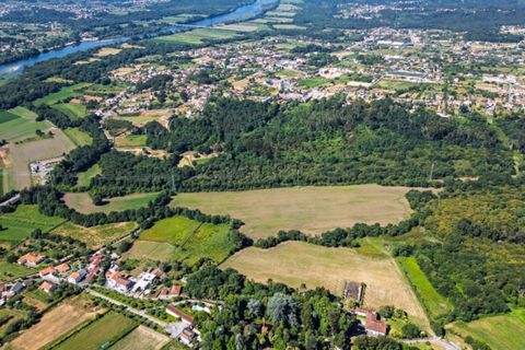 Farm i Ponte de Lima, Viana do Castelo, Ponte de Lima - € 1.700.000 | Ref: LS05705 - foto 24