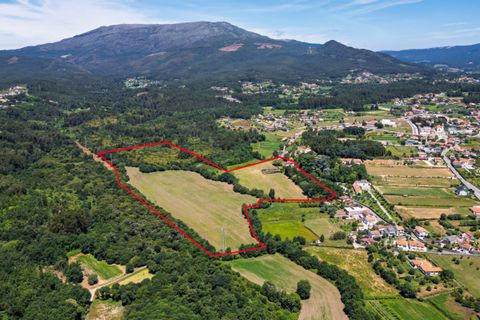Farm i Ponte de Lima, Viana do Castelo, Ponte de Lima - € 1.700.000 | Ref: LS05705 - foto 25