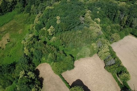 Farm hus i Aigurande, Indre, Aigurande - € 120.000 | Ref: 340936058866 - foto 15