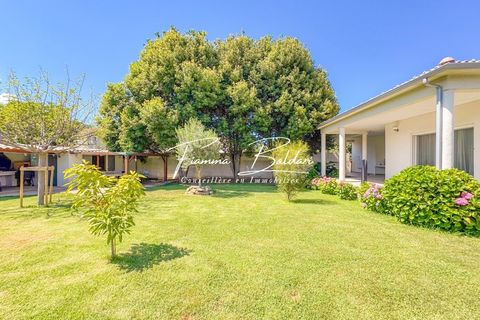 Villa i Penta-di-Casinca, Haute-Corse, Penta-di-Casinca - € 450.000 | Ref: 340939471719 - foto 3