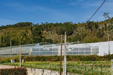 Terrain - Valenca, Viana do Castelo, Valenca - € 250 000 | Réf : 162475 - photo 1