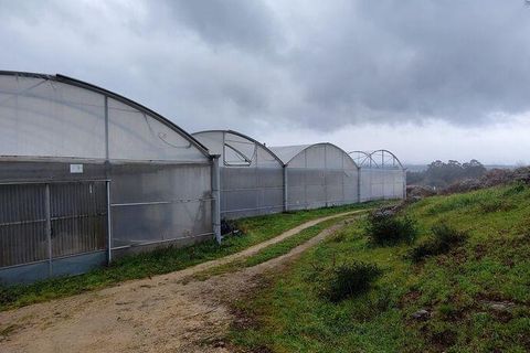 Terrain - Valenca, Viana do Castelo, Valenca - € 250 000 | Réf : 162475 - photo 4